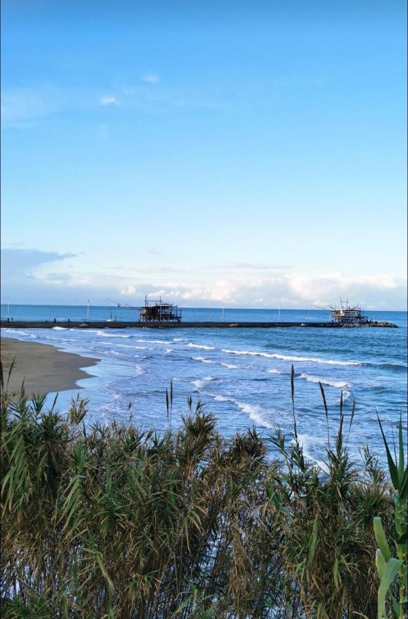 Magnolia Casa Di Campagna Costa Dei Trabocchi Rocca San Giovanni Exterior foto